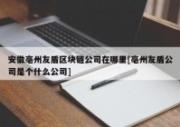 安徽亳州友盾区块链公司在哪里[亳州友盾公司是个什么公司]