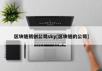 区块链初创公司sky[区块链的公司]